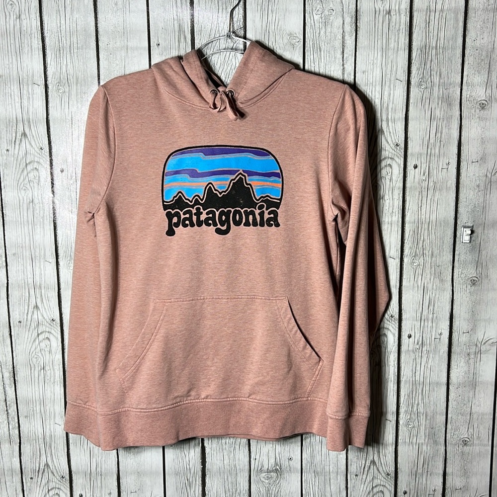 Patagonia organic cotton hoodie size medium